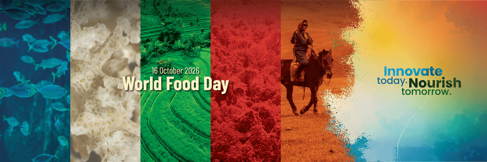 World Food Day | Bio-based Materials Don’t Have to Compete with Food Resources